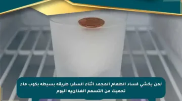 لمن يخشى فساد الطعام المجمد أثناء السفر: طريقة بسيطة بكوب ماء تحميك من التسمم الغذائية اليوم